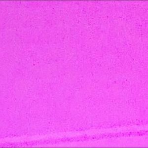 Meet your Posher, Lizzie